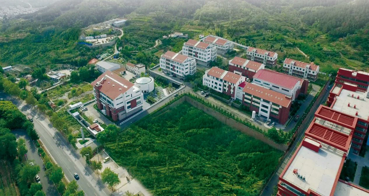 CE Atomizer Inhaler Pocket Nebulisers mesh nebulizers atomizer mini nebulizer