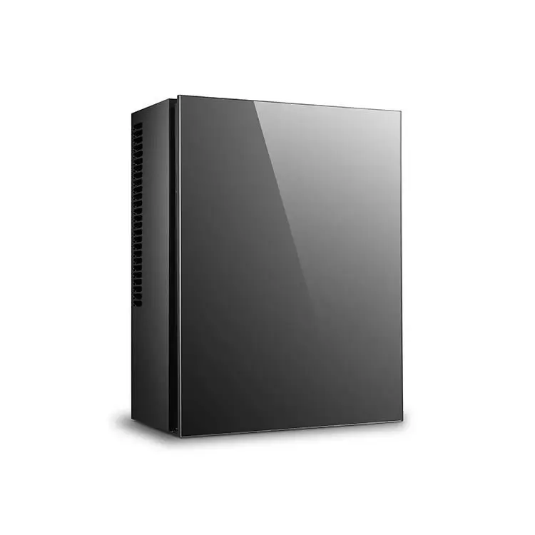 Wall mounted 12 liter small fridge for room personalized mini fridge