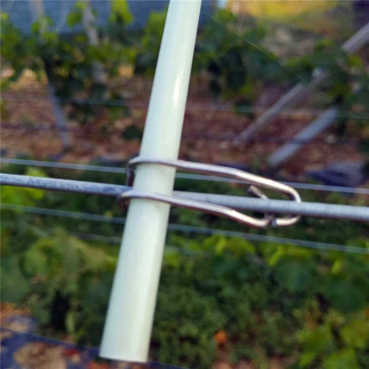 Fiberglass stake for warm house/ GRP plant stakes/FPR rod for garden in Tstar