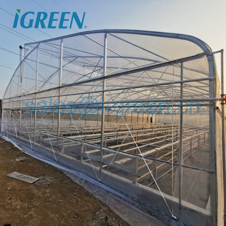 low price chinese victorian greenhouse for Malaysia