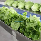 Horizontal Fruit and Vegetable Wrapping Machine Automatic Food Fresh Vegetables Packaging Machine