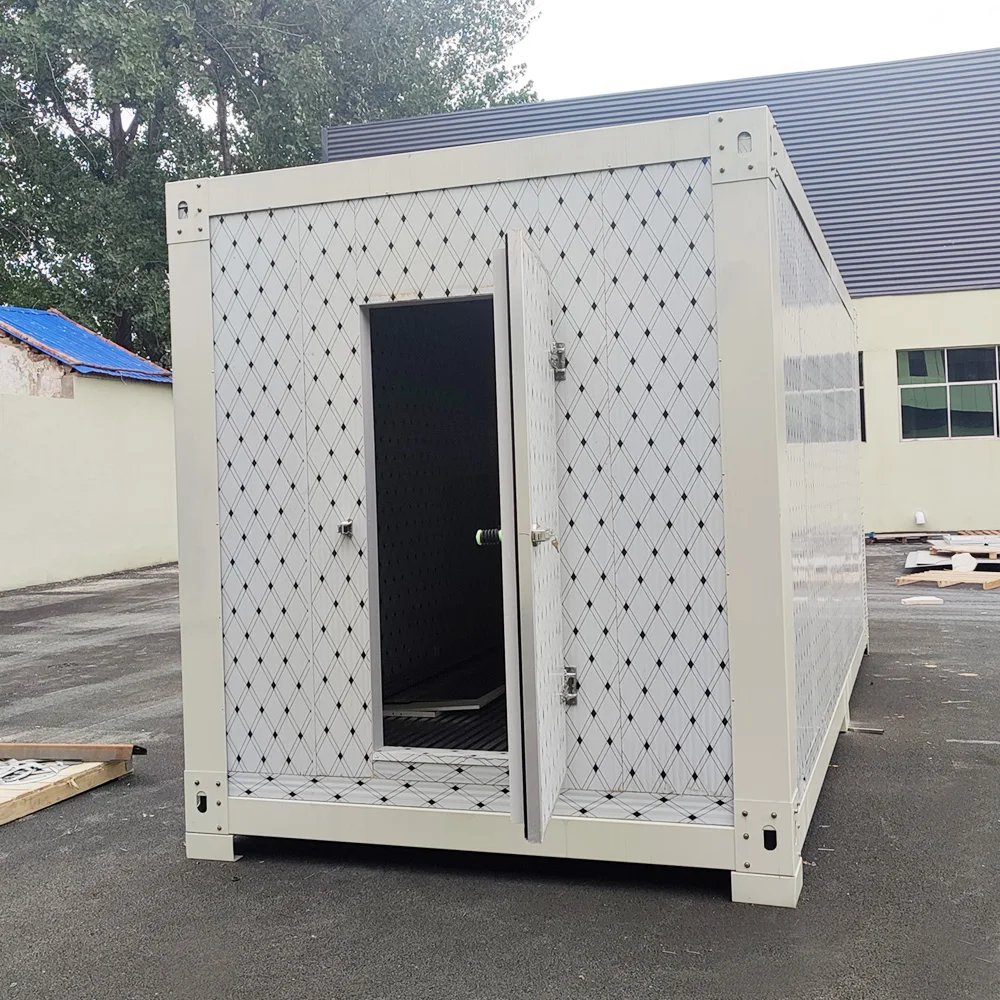 Walk In Freezer Storage Fast Refrigeration High-Efficiency Quick Freezing Cold Room For Vegetable