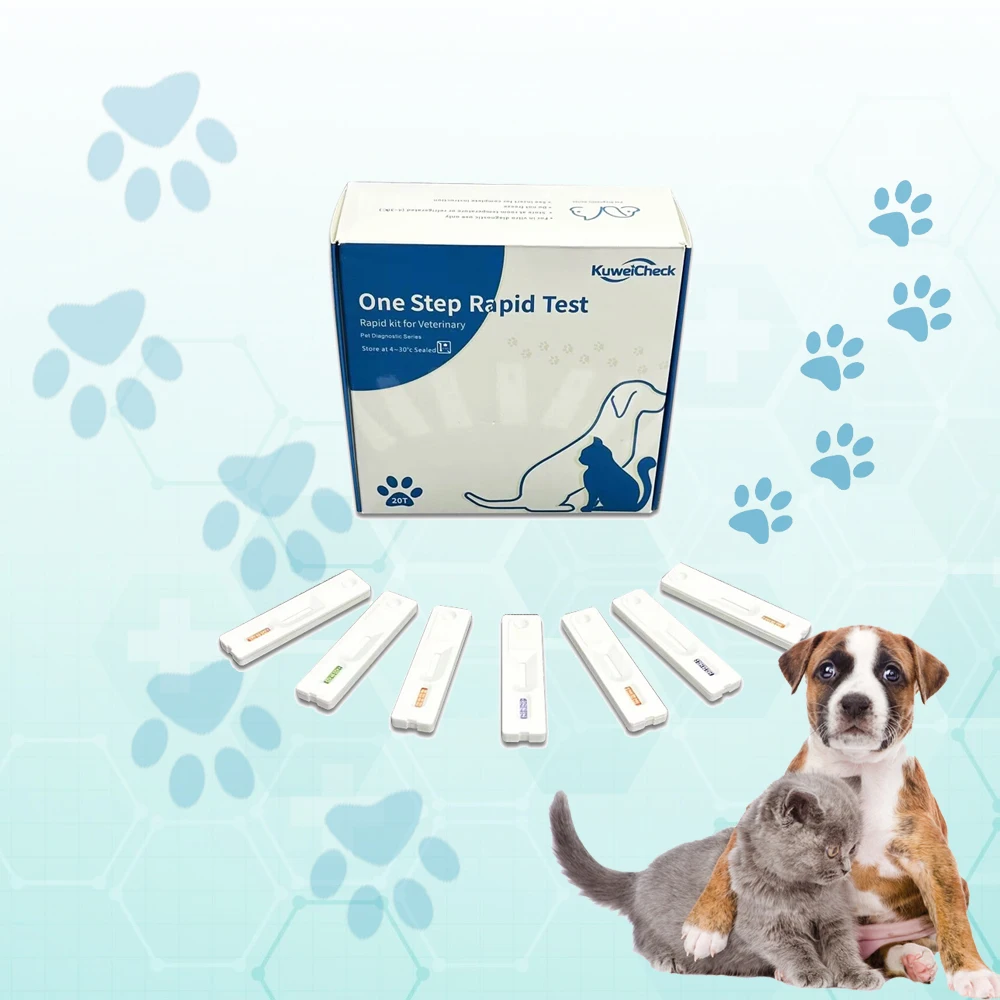 Veterinary Tests Feline Leukemia Virus Antigen Rapid Test FeLV Ag Veterinary Products