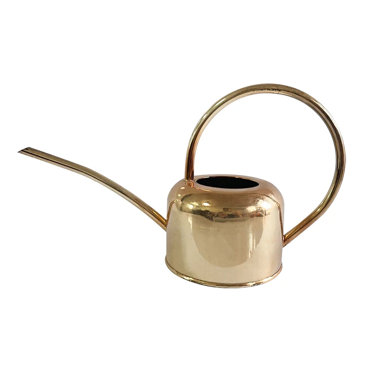 Modern design 1.5L mini galvanized stainless steel watering can with long spout