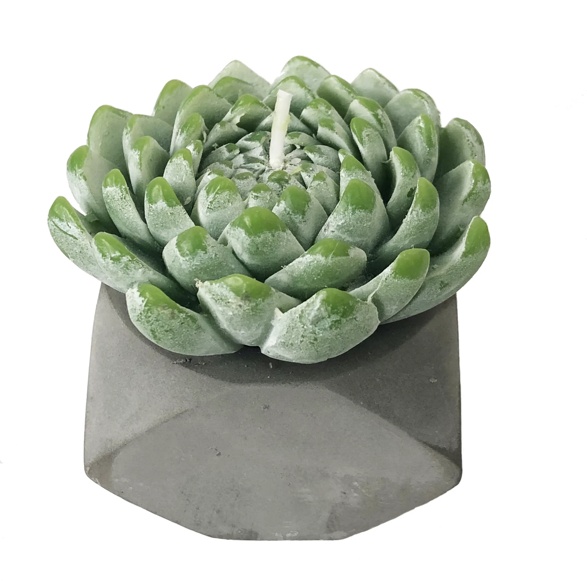 
Home decor artificial succulents private label luxury scented plant candles 