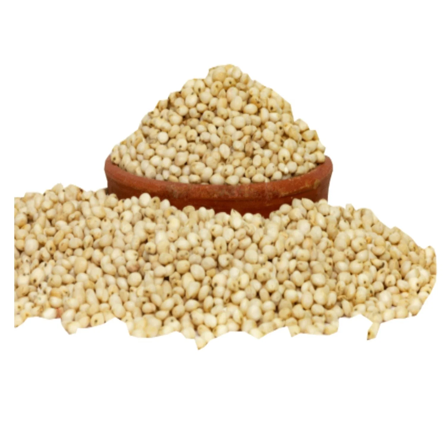 premium organic white sorghum