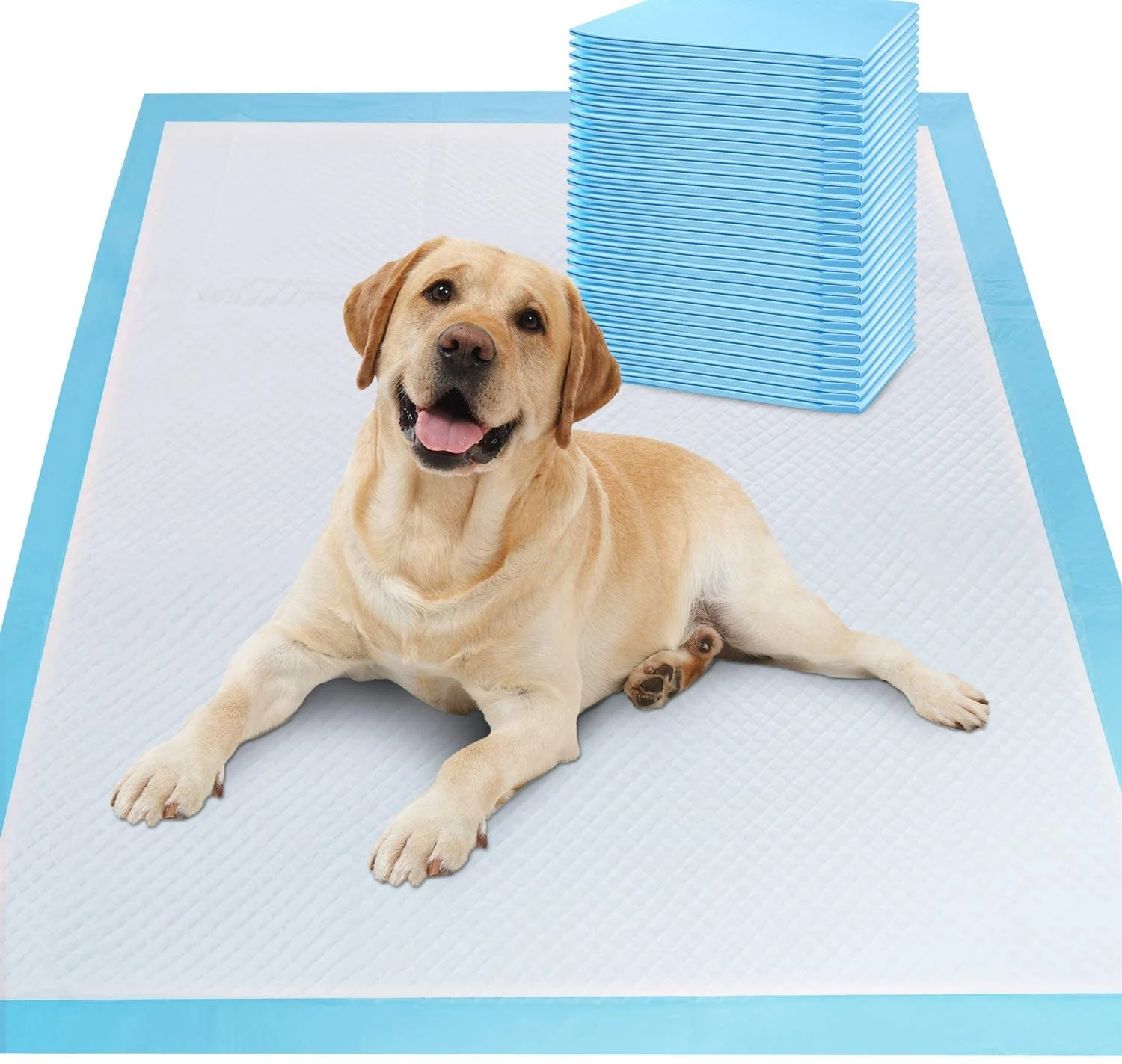 Manufacturer Disposable Dog Pee Pads Pet Puppy Training Pee Pad for Dogs Cats