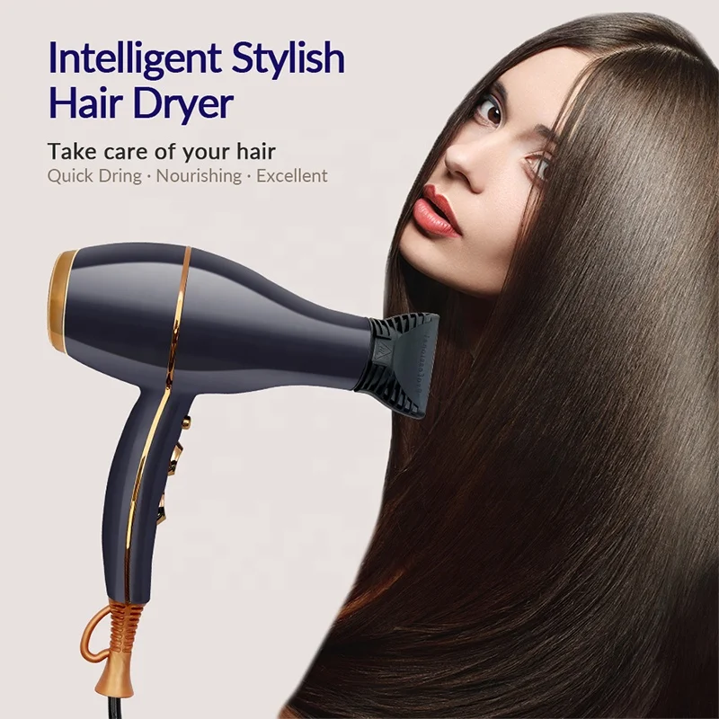 High Speed Ionic Hair Dryer Powerful Hairdryer Secador De Pelo Profesional Hair Dryer And Straightener Set