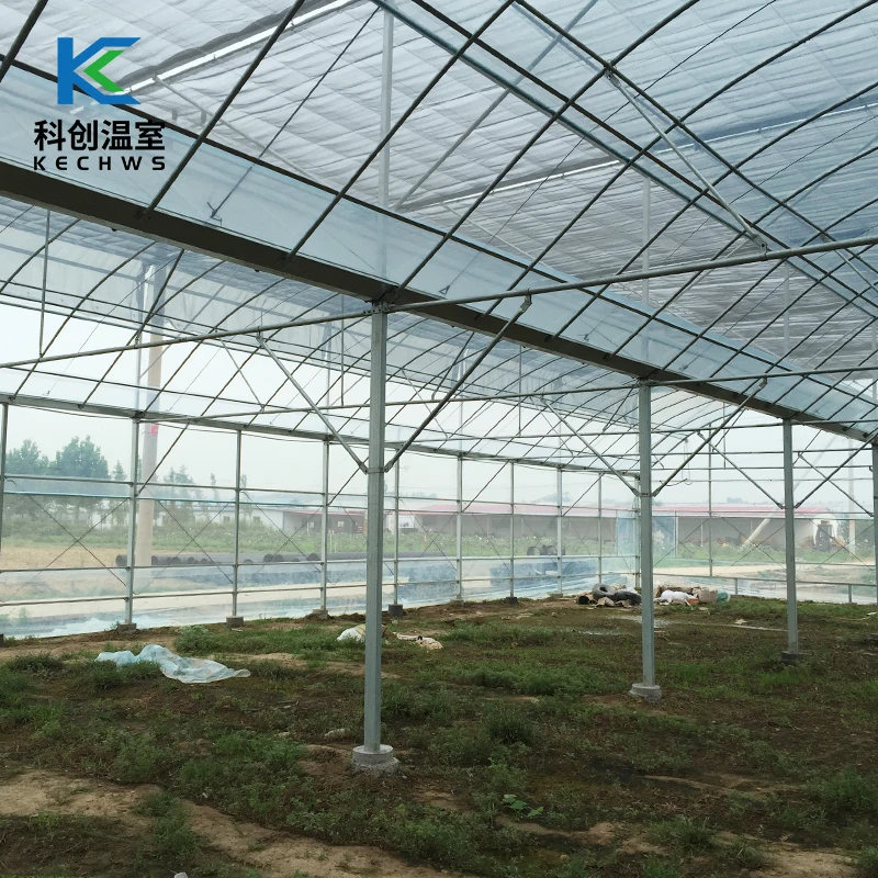 
2021 Hot Selling Farming Vegetables Multi-Span Film Commercial Green House 