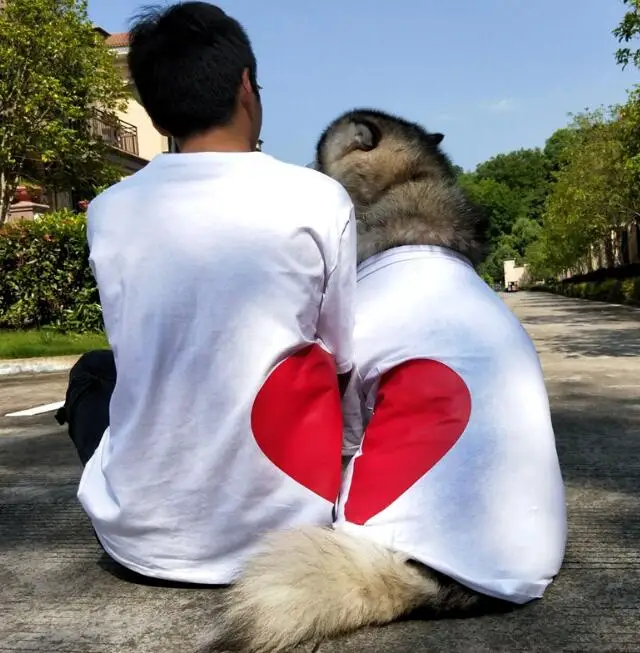 Summer pet family supplies pet cat t shirt match owner dog clothes parent-child dog pet clothing