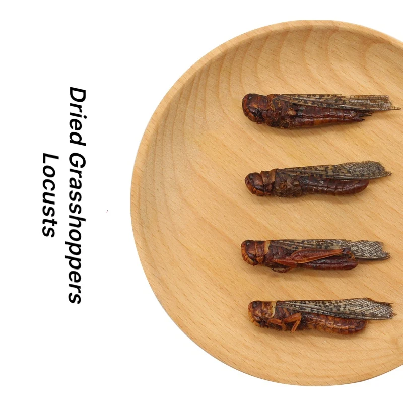 Good Palatability Locusts Insect Protein as Dog Supplement