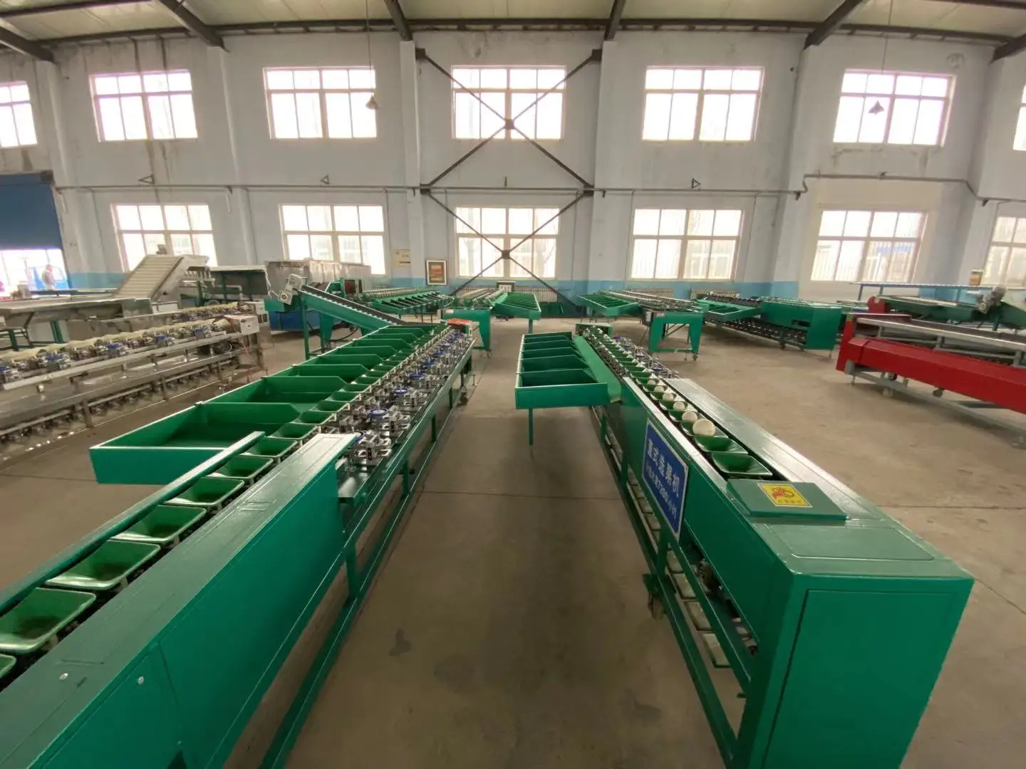 Hot sale mechanical citrus weighting grading fruit weight sorting
