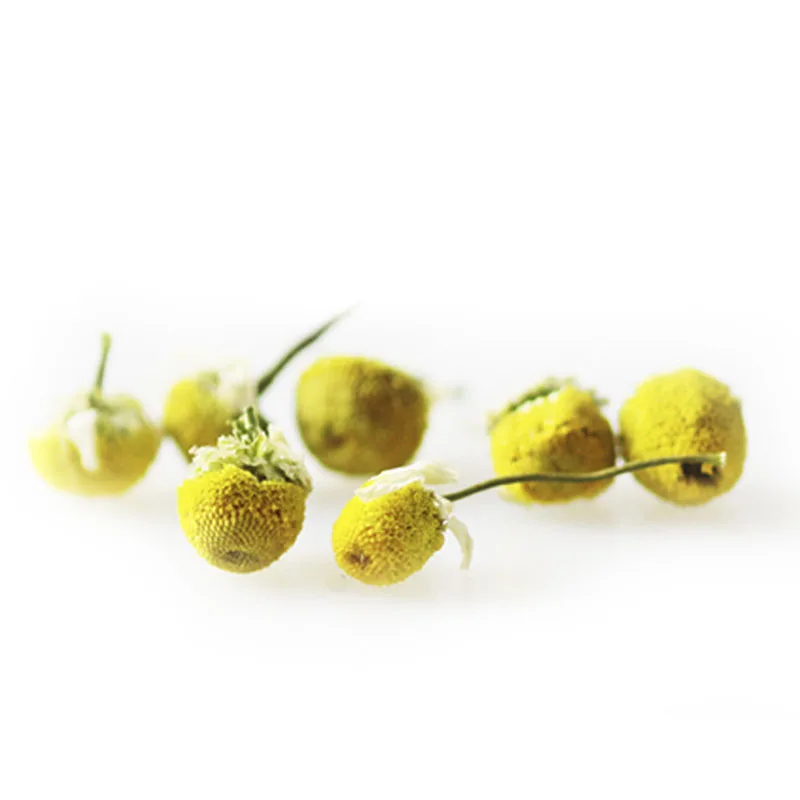 Dried Pure High Quality Raw Chamaemelum Nobile Flowers Chamomile