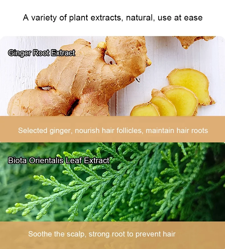 wholesale private label oil control natural ginger oil shampoo for thinning hair and hair loss
