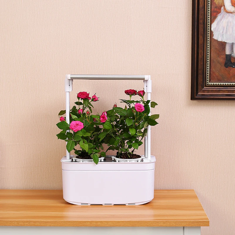 Shenzhen Creative Led light indoor mini smart garden for plants hydroponic smart garden flower planter home garden flower 6 pots