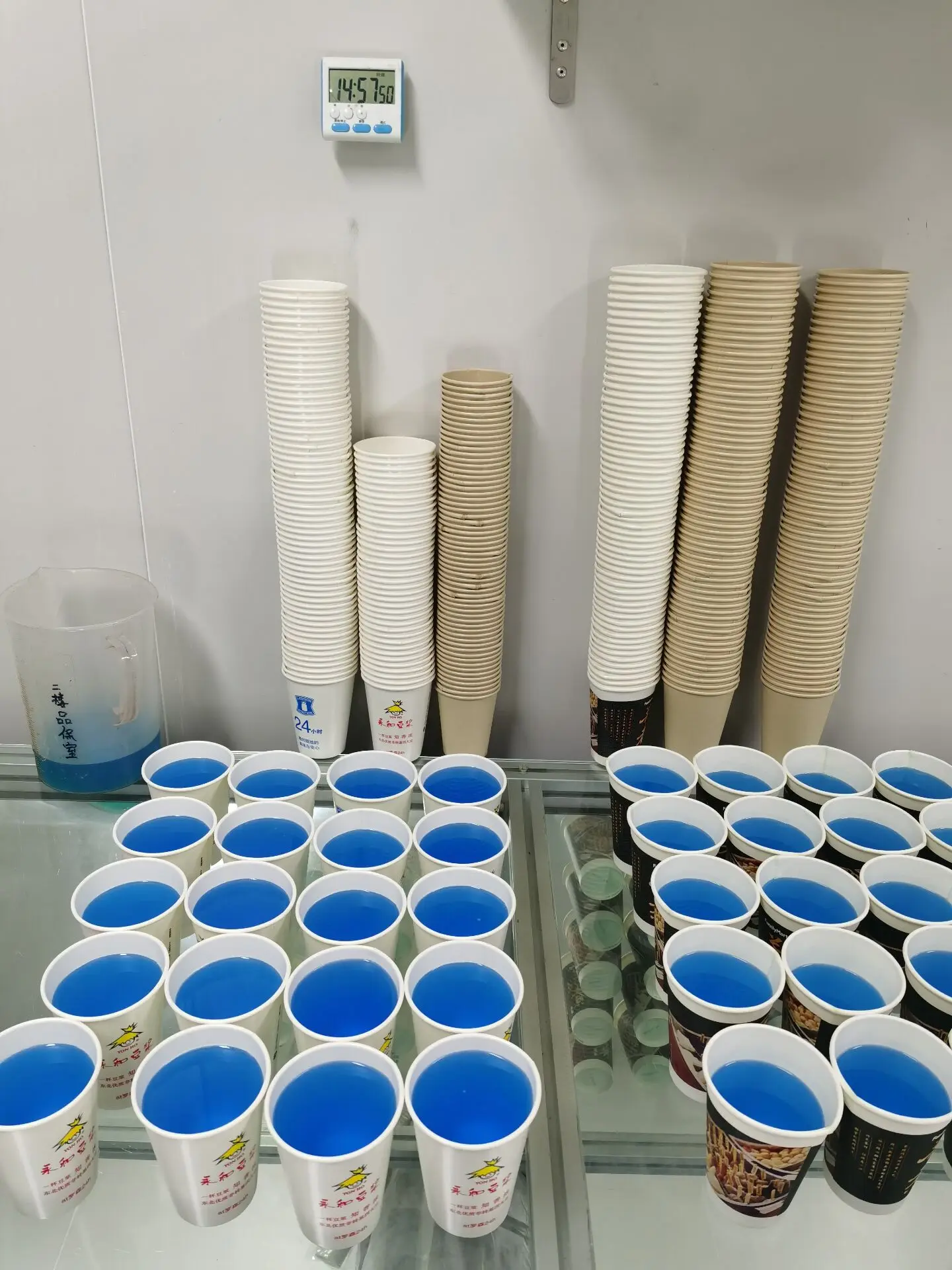 vasos papel bicchieri di carta  paper container  paper cup with lid  disposable paper cupdisposable  white cardboard coffee