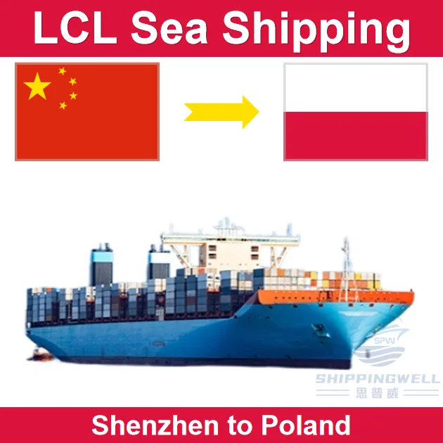 LCL From Shenzhen Guangzhou Shanghai Ningbo China to Poland Sea Freight Shipping by Door to Door and Customs Clearance Services