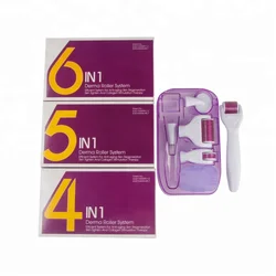 Microneedle Dermaroller Pen 6 in 1 Derma Roller System Kit Amazon Titanium Facial Roller for Face and Body Skin Care Set