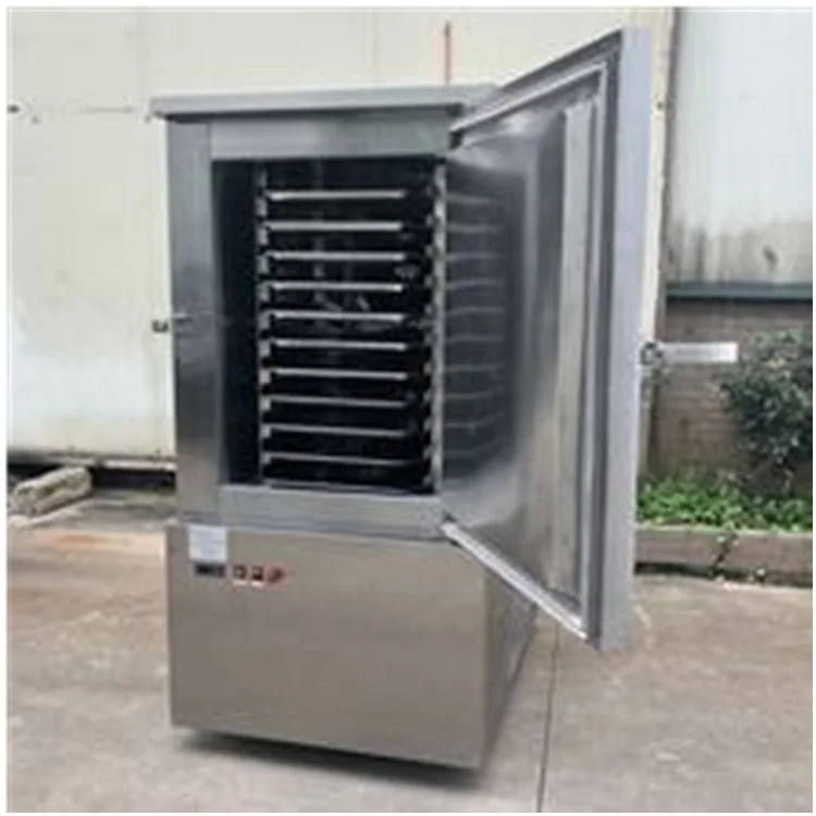 Individually Quick Frozen Commercial Shock Freezer Blast Chiller Air Blast Freezer