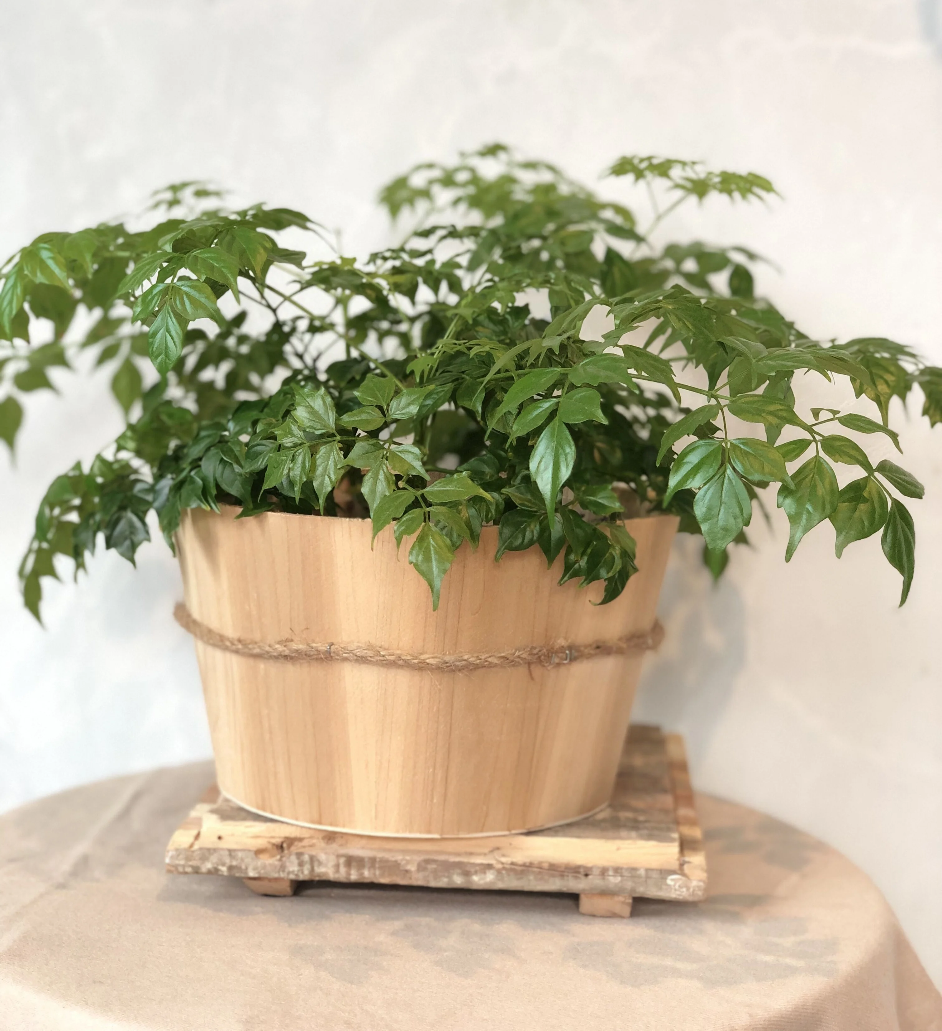 Round wooden indoor flower pot square garden plant pots