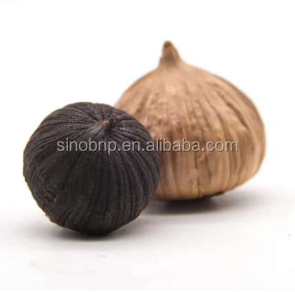 BNP ферментированный однолучевой черный чеснок органический соло черный чеснок