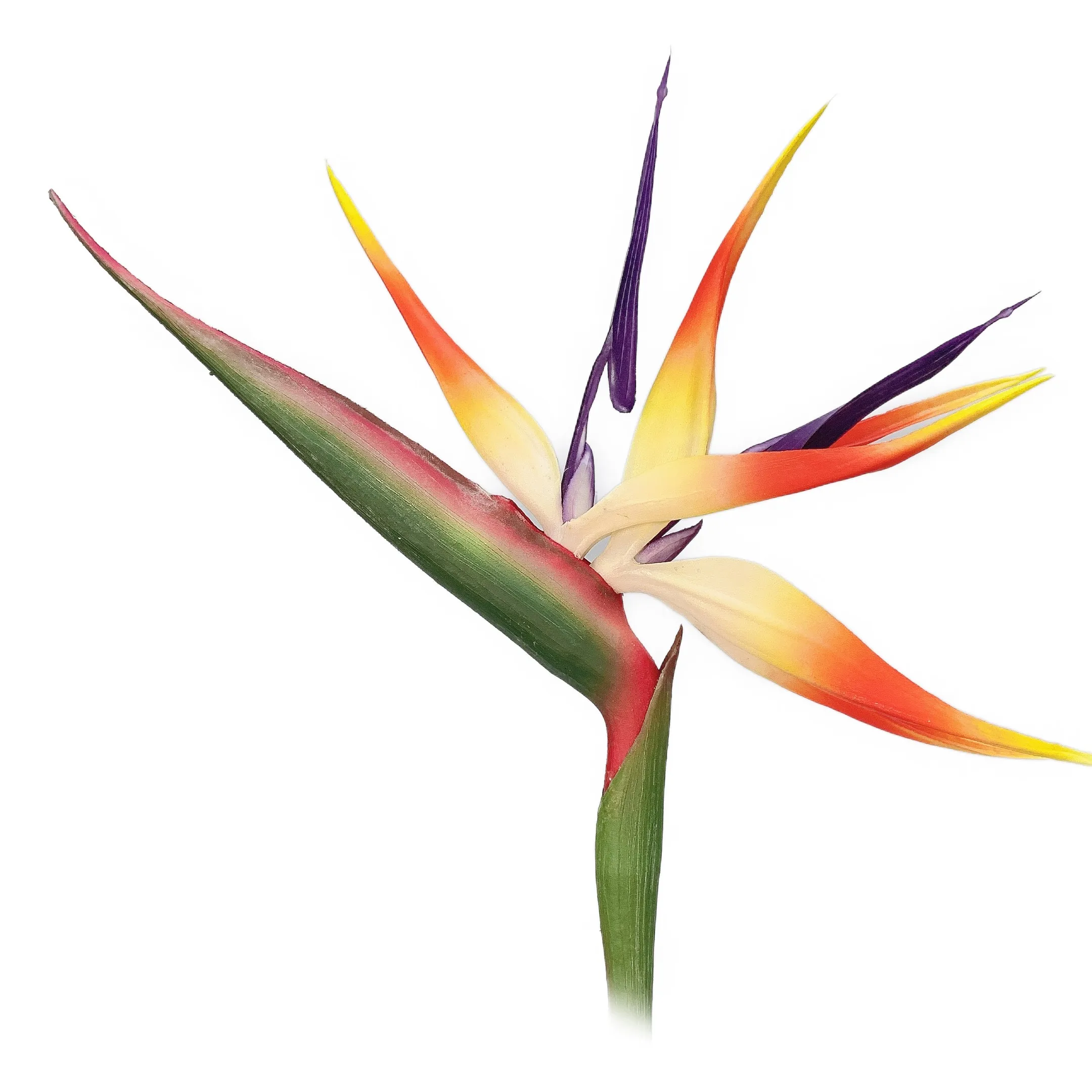Simulation flower Bird Of Paradise for home decoration factory wholesale