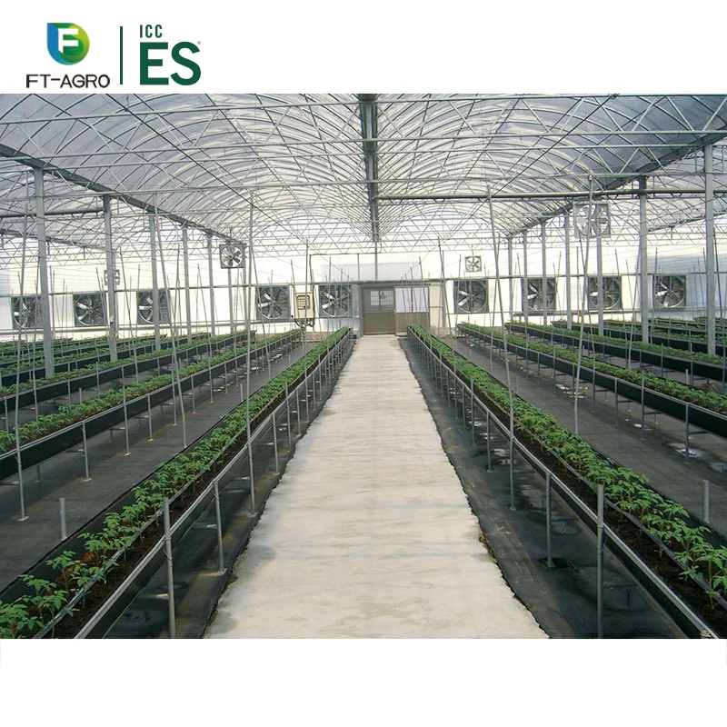 Commercial Hydroponic Systems Growing Greenhouse Vegetables Multi-span Green House with Climate Control System