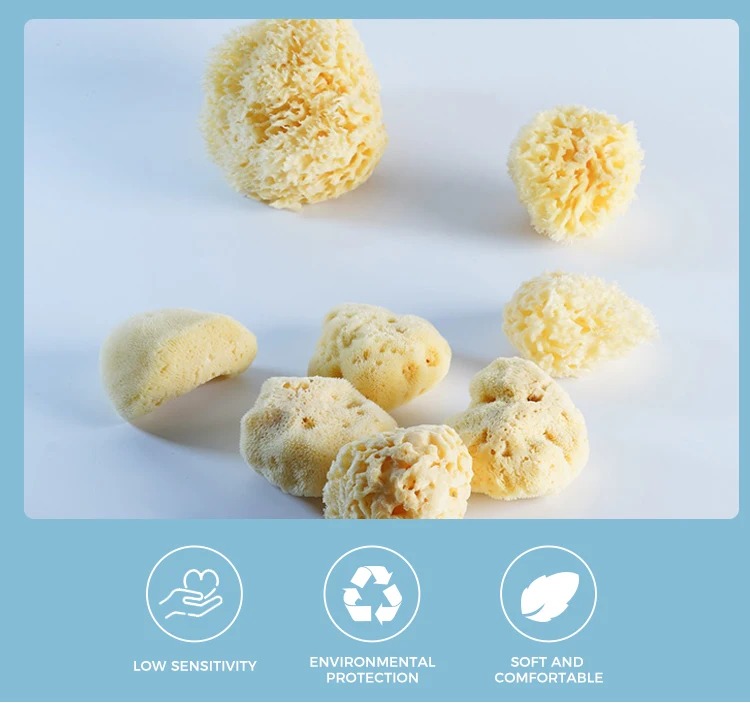 100% Natural Sea Sponge From The Sea Customized Packing Natural Sea Sponge For Baby Bath
