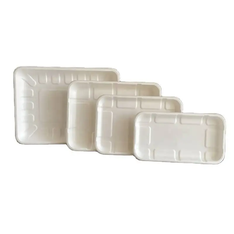 Low price wholesale custom biodegradable cornstarch tableware 5 grid food tray disposable