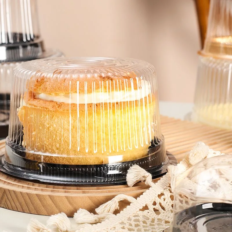 Round PET Bottom Wedding Party Cake Container 6 inch 8 inch 10 inch