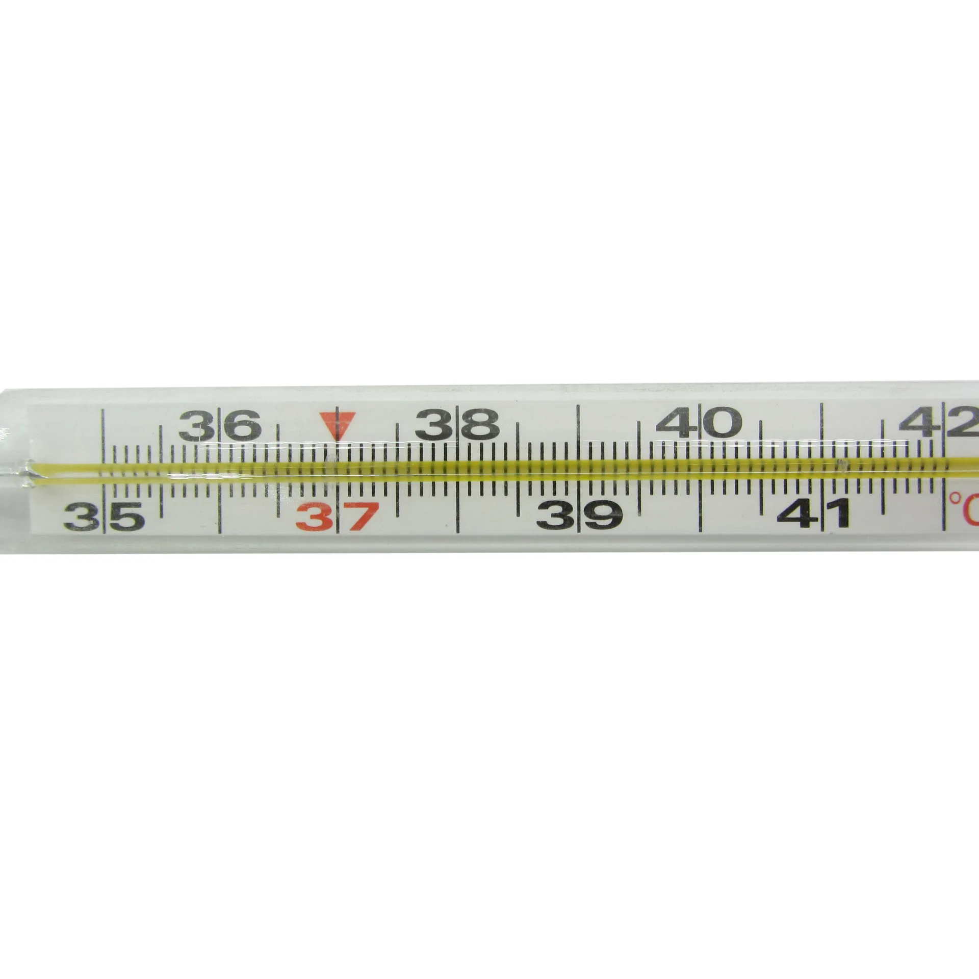 Clinical glass mercury thermometer big size