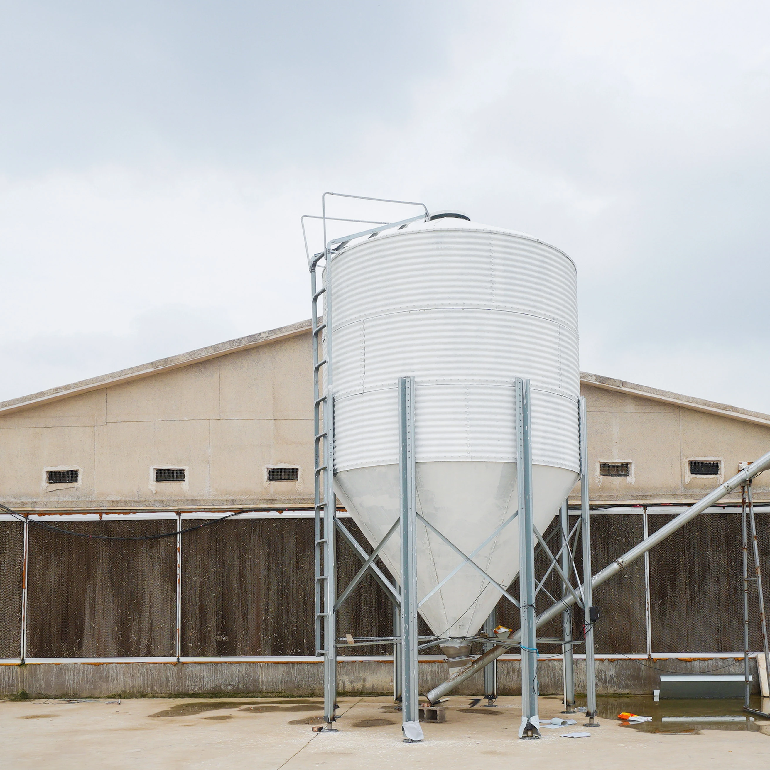 Poultry farm H Type Automatic Egg Rearing Laying Chicken Cages