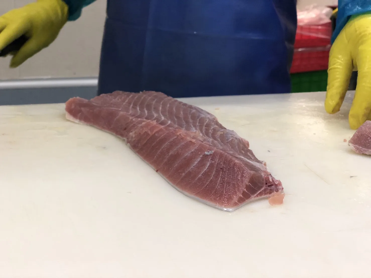
Guaranteed quality proper price IQF yellowfin frozen tuna belly for fresh seafood 