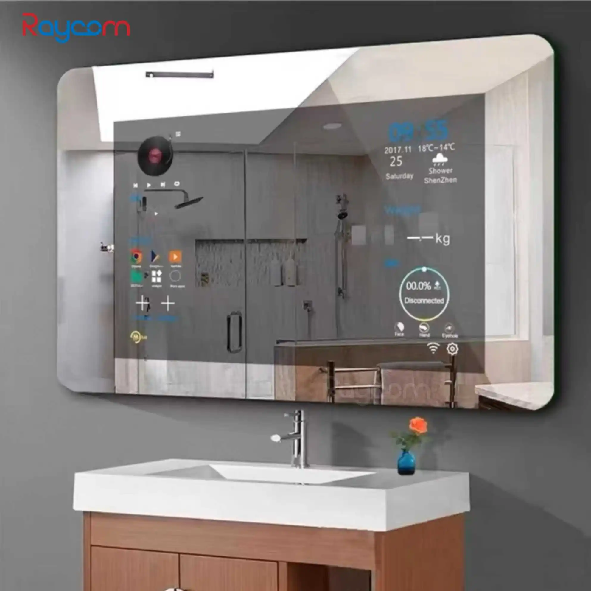 Raycom Bathroom Mirror TV LED Bath Mirrors Illuminated Rectangle Mirror Smart TV