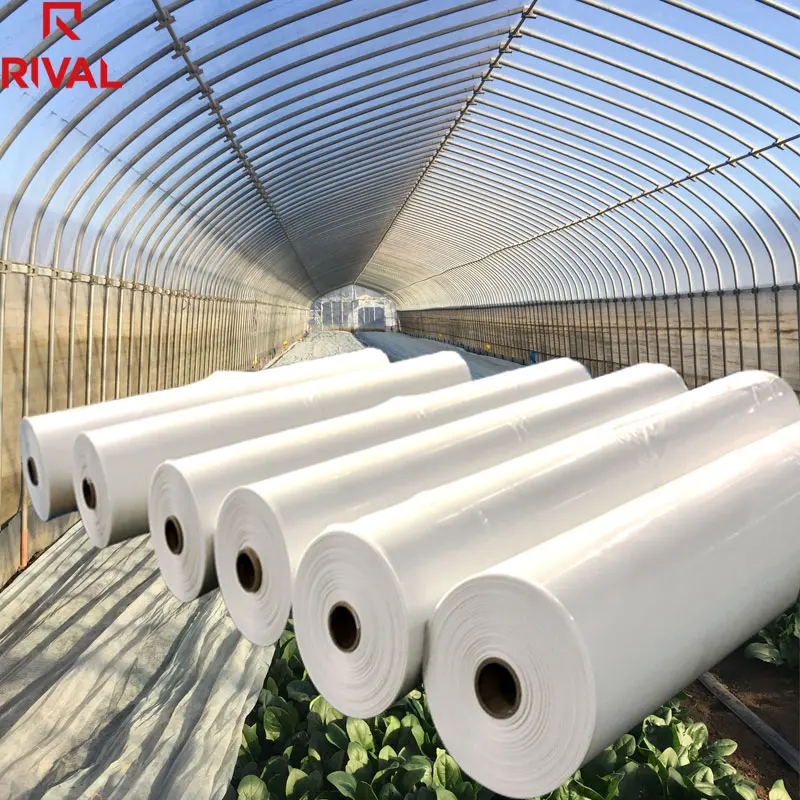 
 5 Layers Co-extrusion 200 micron Film Plastic Polyethylene Tunnel UV Greenhouse Film Supplier  