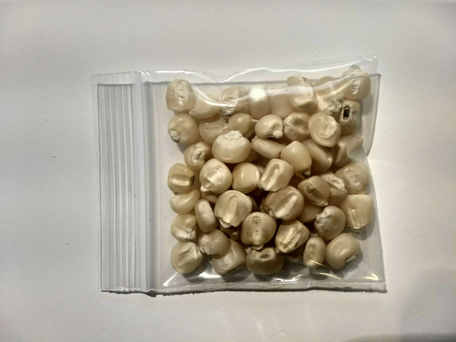 Кукуруза без ГМО для употребления человеком