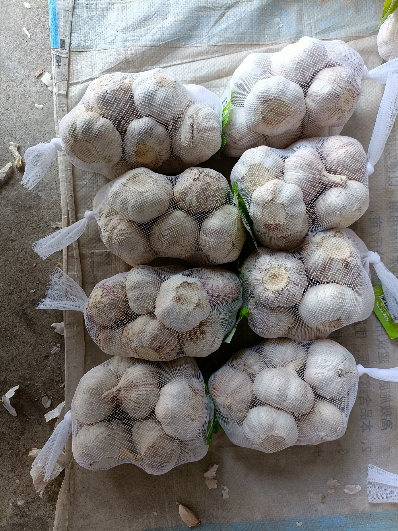 new crop fresh garlic Chinese white garlic narmal white garlic