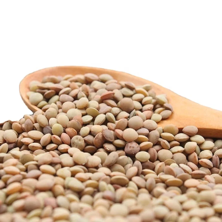 Top quality of new crop2021 Chinese Lentils