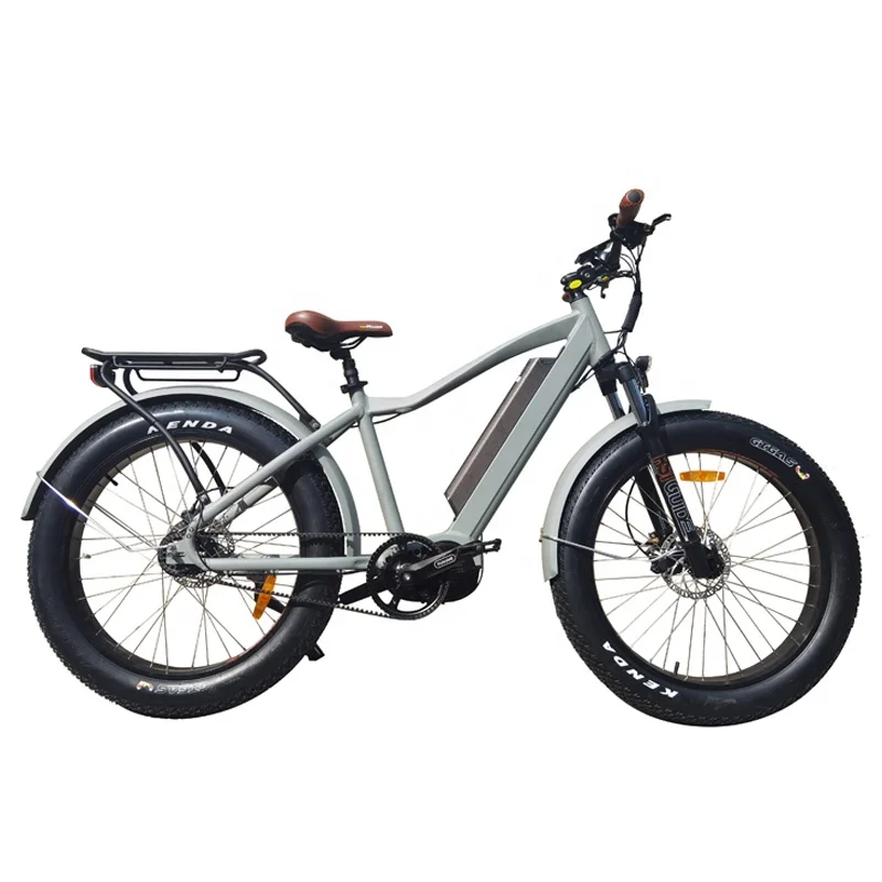 2020 Ebike Belt Drive 750W Mid Motor Electric Fat Ebike Mountain Disc Brake Electric Bicycle