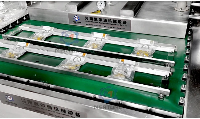 Two Chamber Vacuum Packer