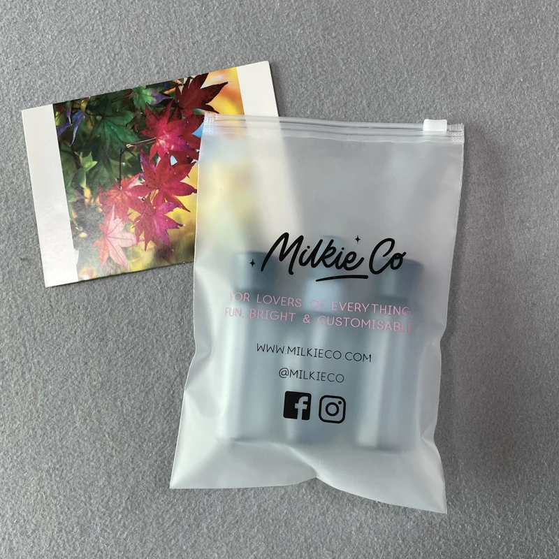 Custom Logo Packaging Plastic Bags For Garment Accessories , Clothing Bags Zip Lock Frosted Bag Clothes Packaged