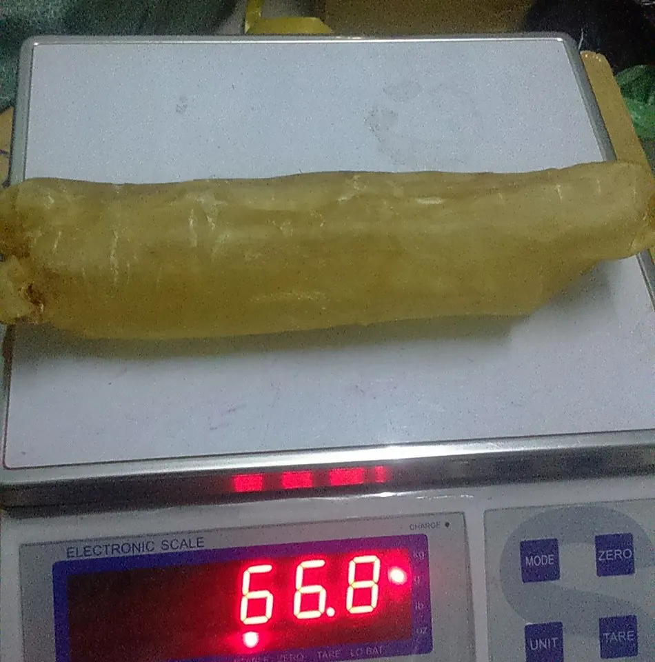 Сушеная рыба баса Maw из Вьетнама с хорошим качеством-сушеные морепродукты стандартный экспорт для всех стран