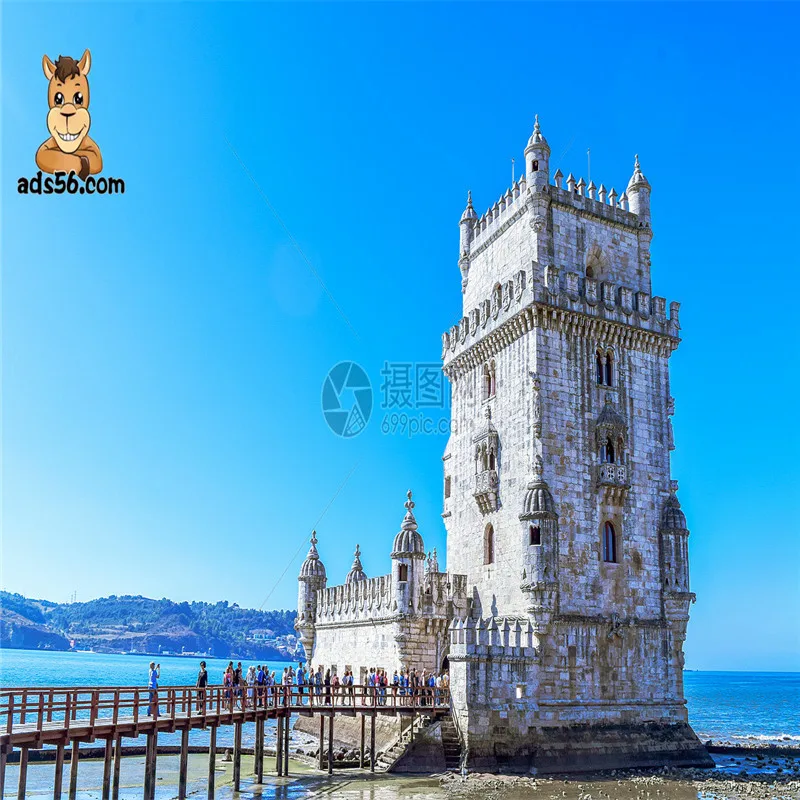 Professional Reliable DDP Sea/Air freight forwarder china  to Saudi Arabia Fast Sea/Air Freight Shipping Agent from China DDP