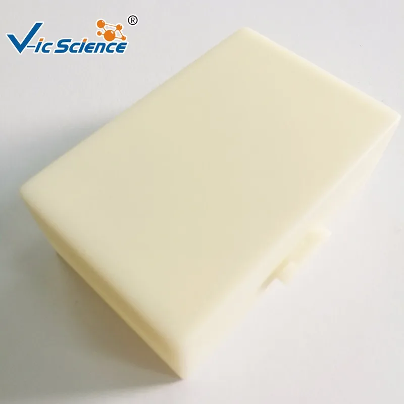 laboratory microscope prepared glass slides Botany Microscope Slide Plant Mitosis for Microscopes Plant Tissue Slides fungi