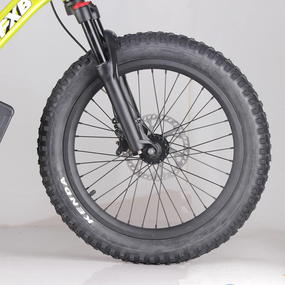 20inch Kids&Adult Electric Balance Bike 36V 800W Hub Motor Ebike 36V 10Ah Lithium Battery Electric Push bike