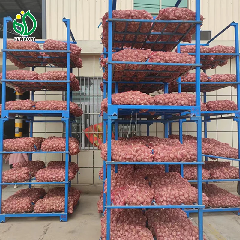Свежий чеснок новый урожай обычного белого и чистого чеснока оптовая продажа производитель из