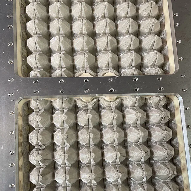 Egg Tray Machine for Farms Paper Food Shop Egg Tray Machinery Manufacturing Plant