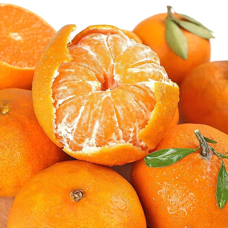 2022 Yunnan Fresh Fertile Orange Made in Yunnan Province  Rich in a variety of nutrients  China Exporters  Quality Wholesale