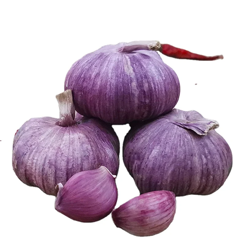 
2020 hot sales Chinese best new crop natural fresh white garlic 