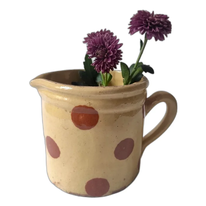 Terracotta Savoy polka dot milk jug